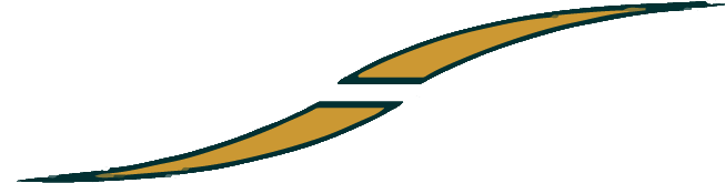 taxis-romand-secretant-val-suran-logo2